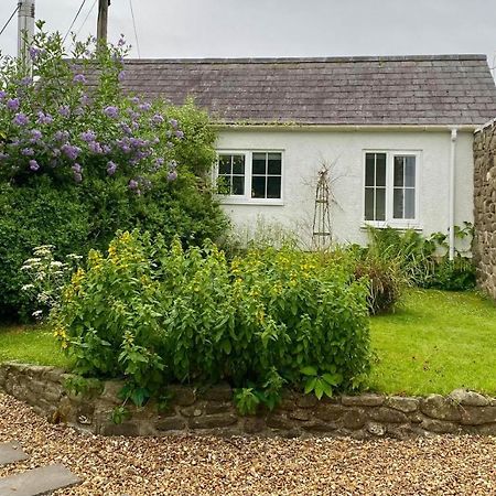 Daffodil House , West Wales ランダバリー エクステリア 写真