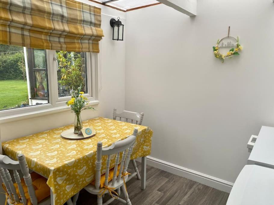 Daffodil House , West Wales ランダバリー エクステリア 写真